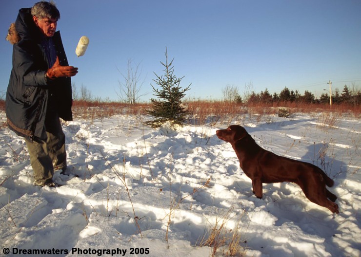 Rose Don Fetch 1.jpg